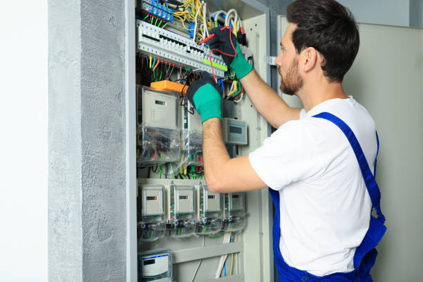 Best Electric Panel Repair  in Linden, AZ